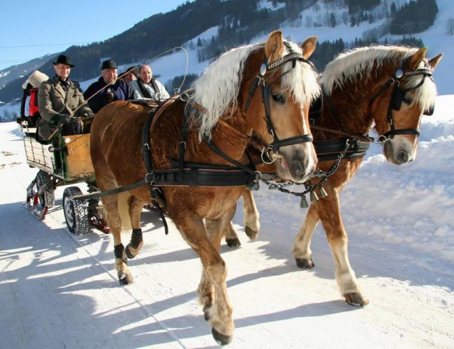 Pferdeschlittenfahrt durch die idyllische Winterlandschaft © Herbert Raffalt/Schladming-Dachstein)